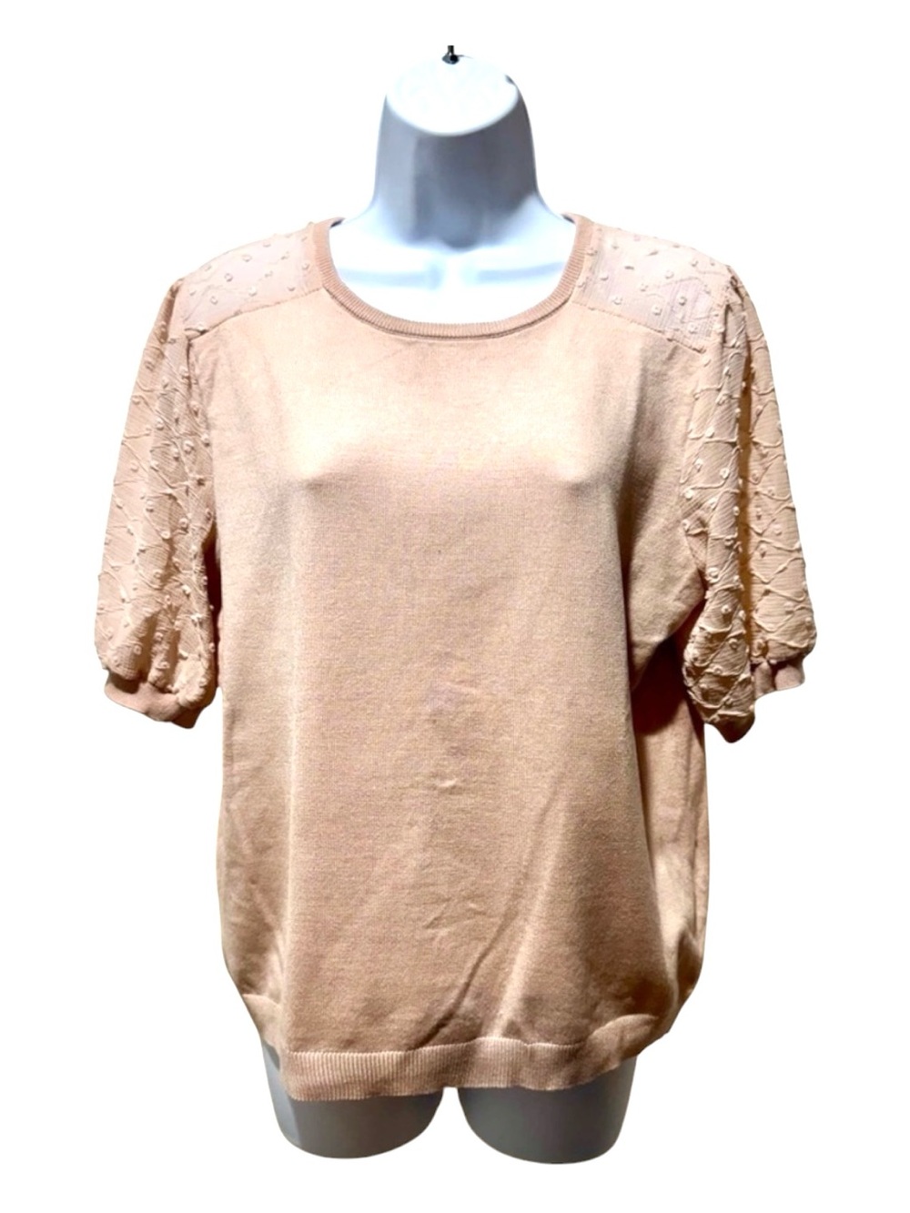 Adrianna Papell Blush Pink Knit Top L Sheer Swiss Dot Puff Sleeve Blouse